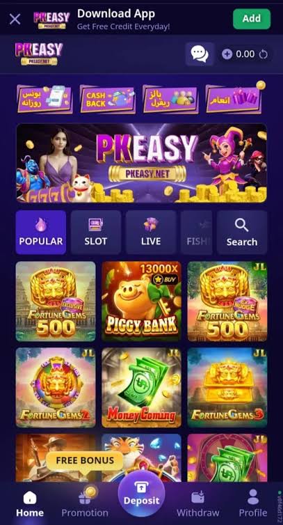 salotpk app version number display